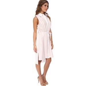 Rebecca Minkoff Cohen Pink Striped Sleeveless Belted Shirtdress Size Small